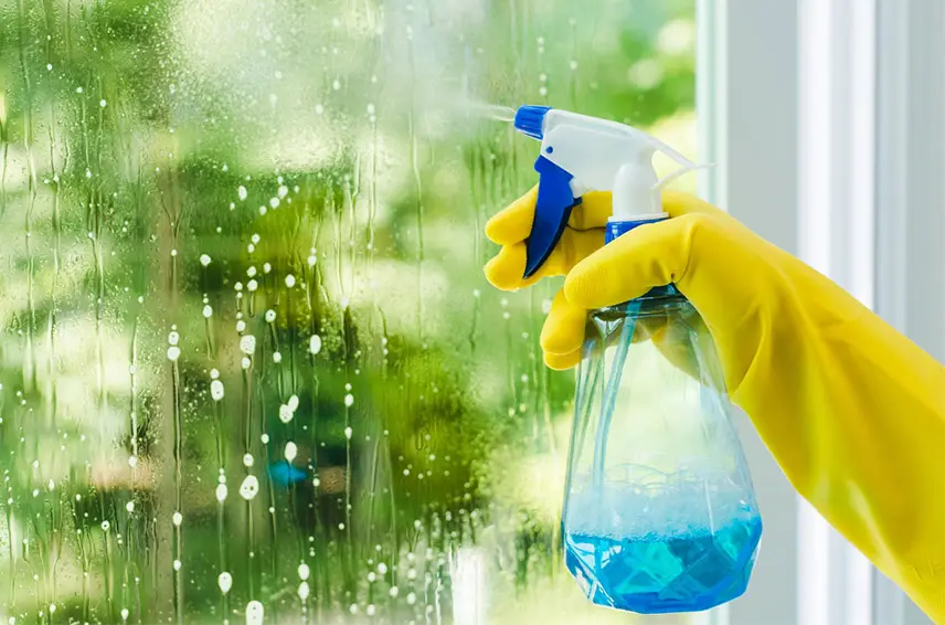 Window Cleaning Image